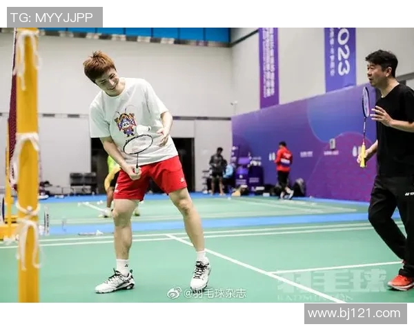 南京羽毛球队战术表现深度数据分析与策略优化研究 南京羽毛球队战术表现深度数据分析与策略优化研究