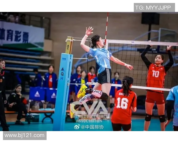 数据分析:重庆排球队的力量表现 数据分析:重庆排球队的力量表现