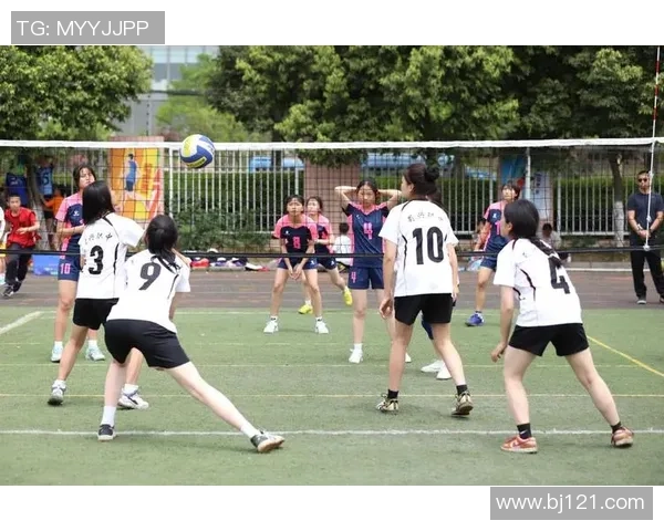 排球焦点：成都排球队的比赛经验探讨