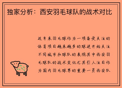 独家分析：西安羽毛球队的战术对比