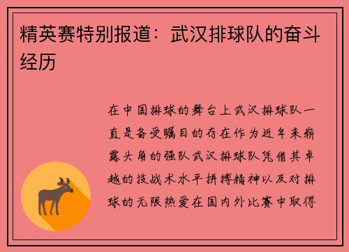 精英赛特别报道：武汉排球队的奋斗经历