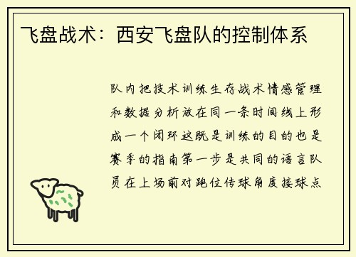 飞盘战术：西安飞盘队的控制体系