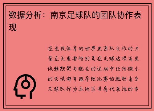 数据分析：南京足球队的团队协作表现
