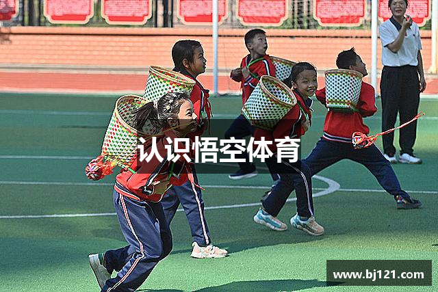 认识悟空体育